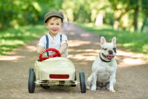 Passt Ihr Auto-Versicherungstarif zu Ihnen?